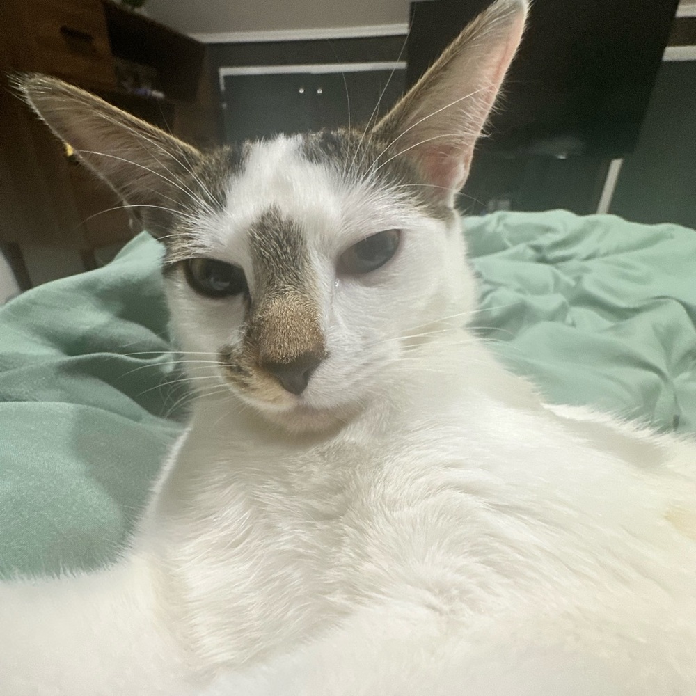 Meet your Posher, Christopher